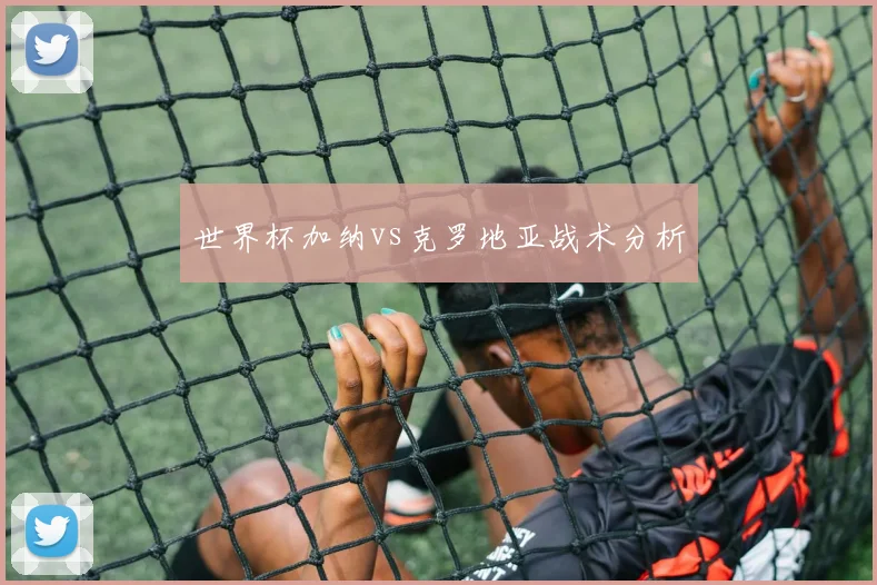 世界杯加纳vs克罗地亚战术分析