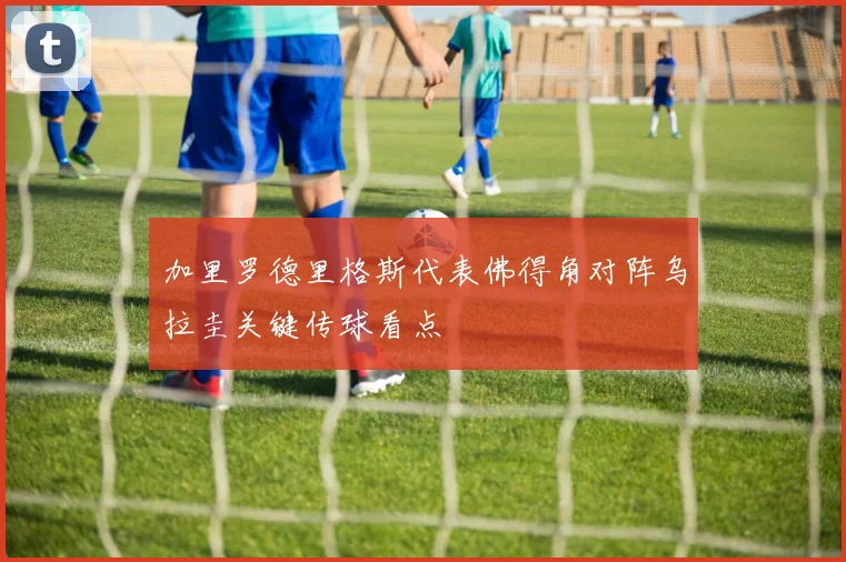 加里罗德里格斯代表佛得角对阵乌拉圭关键传球看点